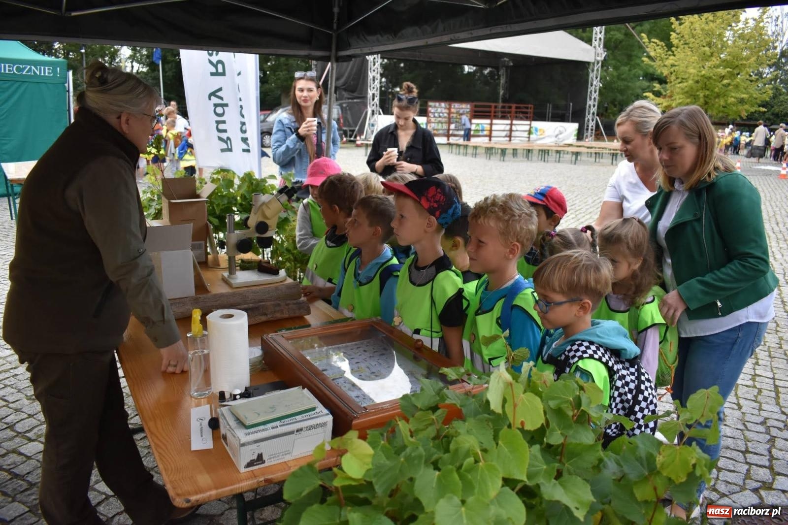 Zdjęcie w galerii na portalu naszraciborz.pl: Bezpieczne Grzybobranie. Nie bądź atrakcyjny dla kleszczy - wystawa na zamku wiadomości z regionu
