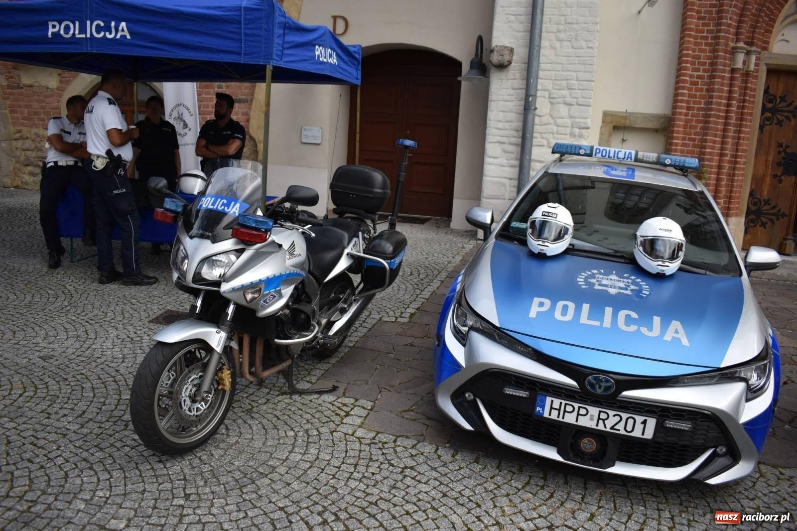 Zdjęcie w galerii na portalu naszraciborz.pl: Bezpieczne Grzybobranie. Nie bądź atrakcyjny dla kleszczy - wystawa na zamku wiadomości z regionu