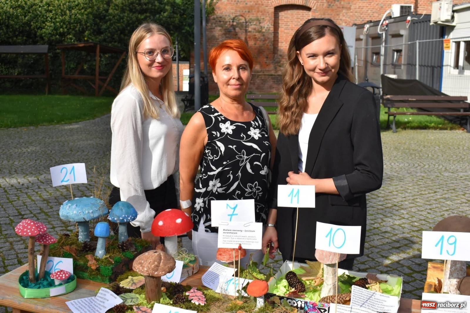 Zdjęcie w galerii na portalu naszraciborz.pl: Bezpieczne Grzybobranie. Nie bądź atrakcyjny dla kleszczy - wystawa na zamku wiadomości z regionu
