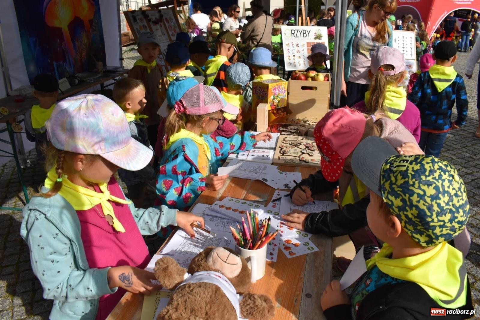 Zdjęcie w galerii na portalu naszraciborz.pl: Bezpieczne Grzybobranie. Nie bądź atrakcyjny dla kleszczy - wystawa na zamku wiadomości z regionu