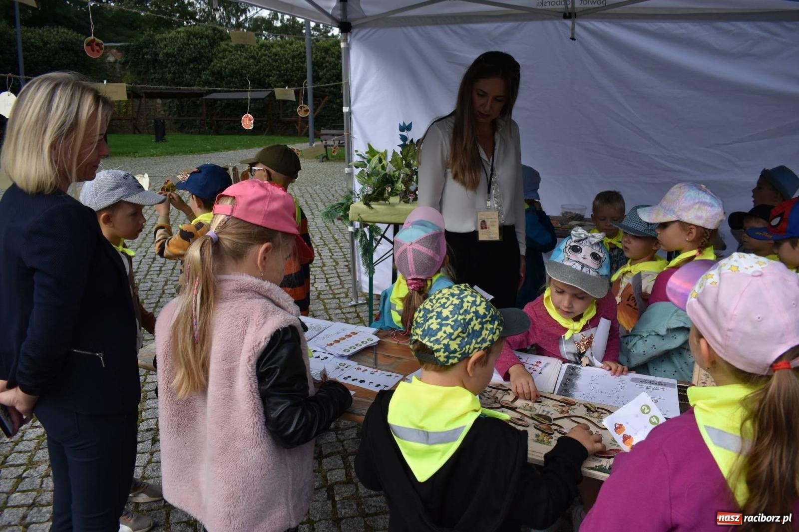 Zdjęcie w galerii na portalu naszraciborz.pl: Bezpieczne Grzybobranie. Nie bądź atrakcyjny dla kleszczy - wystawa na zamku wiadomości z regionu