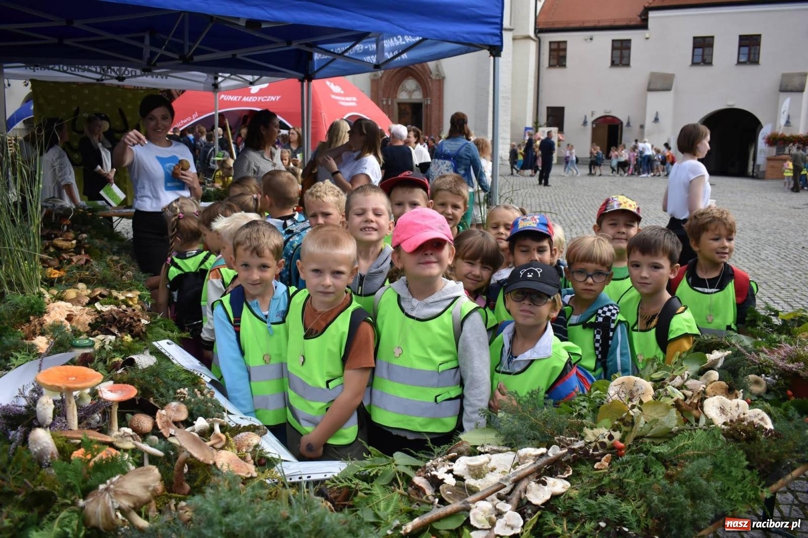 Zdjęcie w galerii na portalu naszraciborz.pl: Bezpieczne Grzybobranie. Nie bądź atrakcyjny dla kleszczy - wystawa na zamku wiadomości z regionu