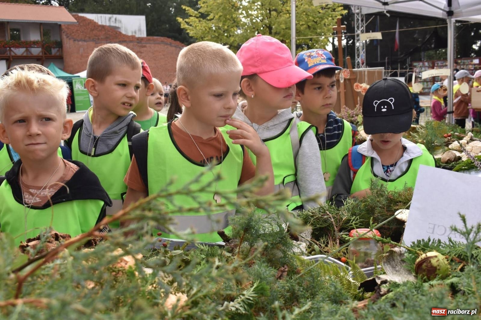 Zdjęcie w galerii na portalu naszraciborz.pl: Bezpieczne Grzybobranie. Nie bądź atrakcyjny dla kleszczy - wystawa na zamku wiadomości z regionu