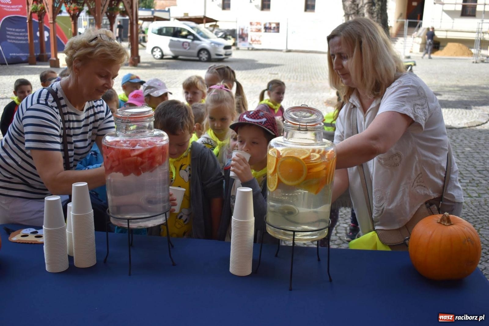 Zdjęcie w galerii na portalu naszraciborz.pl: Bezpieczne Grzybobranie. Nie bądź atrakcyjny dla kleszczy - wystawa na zamku wiadomości z regionu