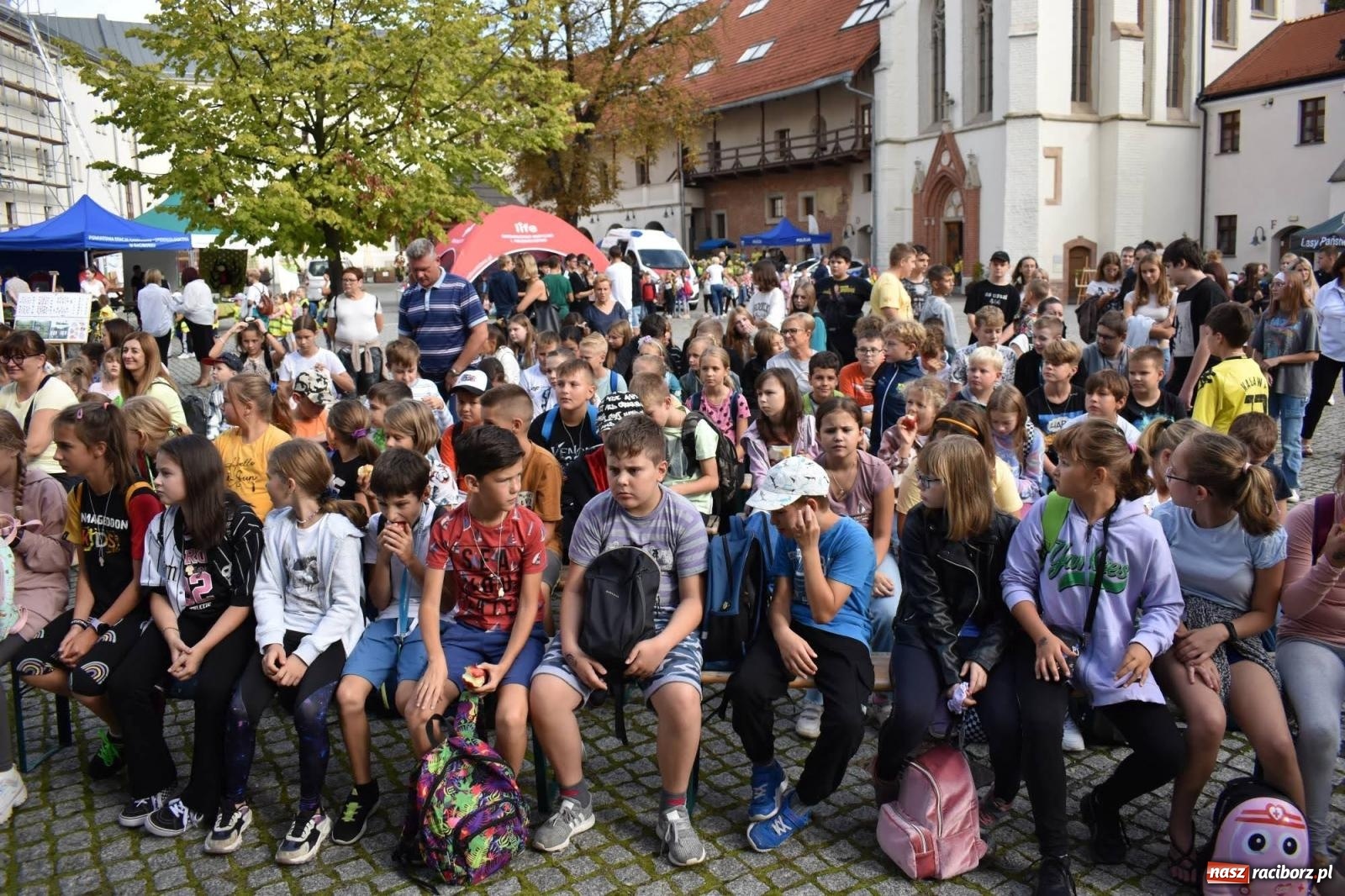 Zdjęcie w galerii na portalu naszraciborz.pl: Bezpieczne Grzybobranie. Nie bądź atrakcyjny dla kleszczy - wystawa na zamku wiadomości z regionu