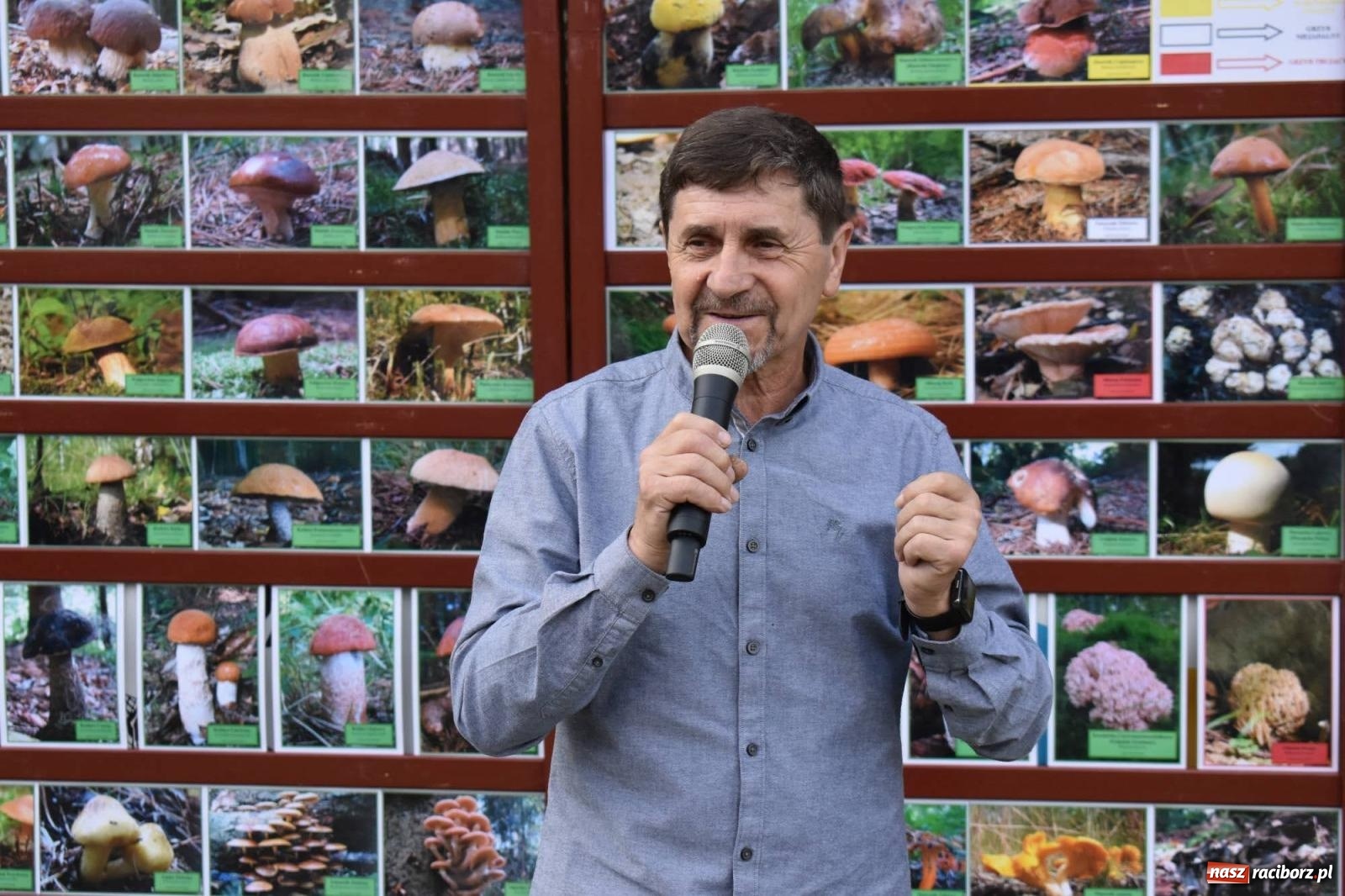 Zdjęcie w galerii na portalu naszraciborz.pl: Bezpieczne Grzybobranie. Nie bądź atrakcyjny dla kleszczy - wystawa na zamku wiadomości z regionu