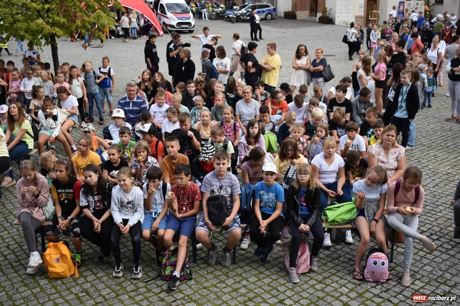 Zdjęcie w galerii na portalu naszraciborz.pl: Bezpieczne Grzybobranie. Nie bądź atrakcyjny dla kleszczy - wystawa na zamku wiadomości z regionu