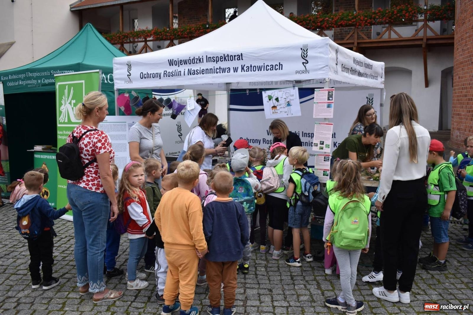 Zdjęcie w galerii na portalu naszraciborz.pl: Bezpieczne Grzybobranie. Nie bądź atrakcyjny dla kleszczy - wystawa na zamku wiadomości z regionu