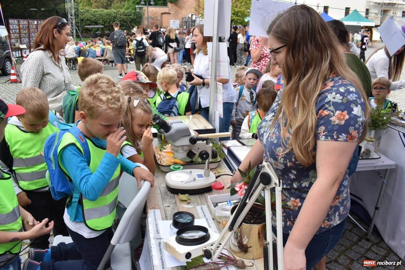 Zdjęcie w galerii na portalu naszraciborz.pl: Bezpieczne Grzybobranie. Nie bądź atrakcyjny dla kleszczy - wystawa na zamku wiadomości z regionu