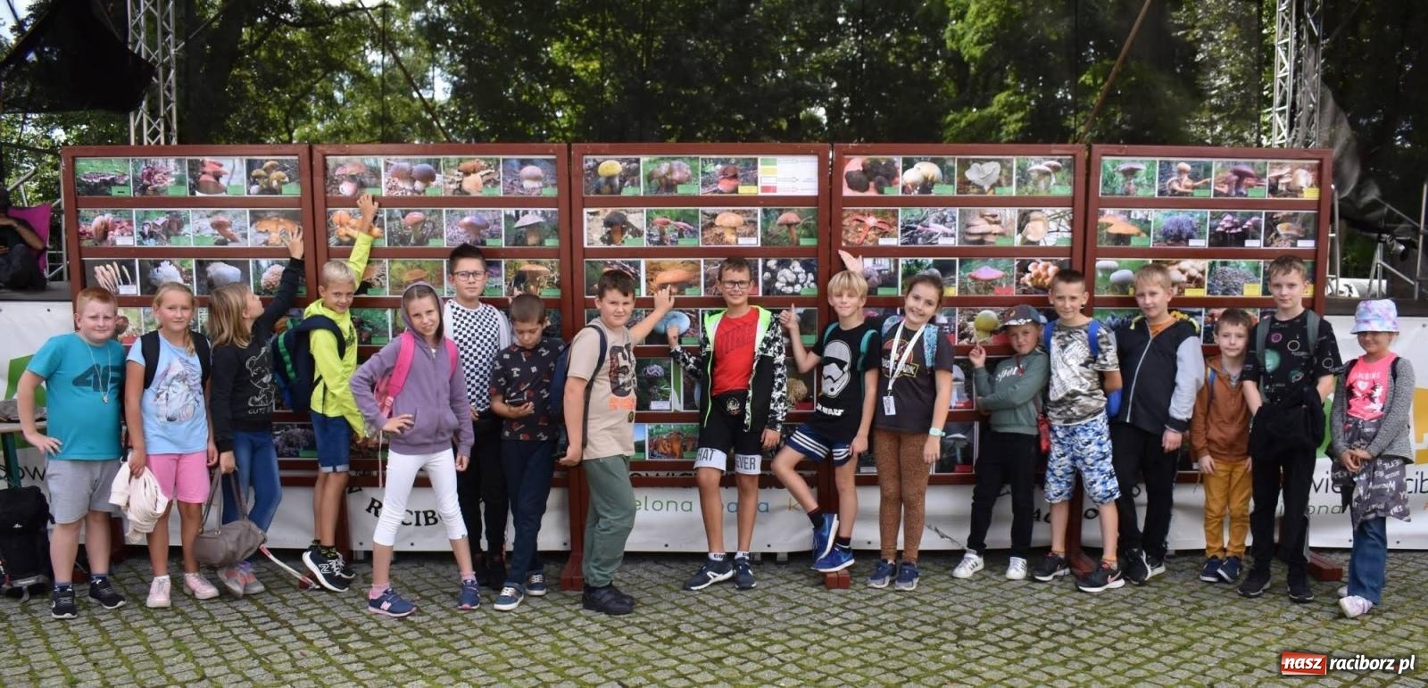 Zdjęcie w galerii na portalu naszraciborz.pl: Bezpieczne Grzybobranie. Nie bądź atrakcyjny dla kleszczy - wystawa na zamku wiadomości z regionu