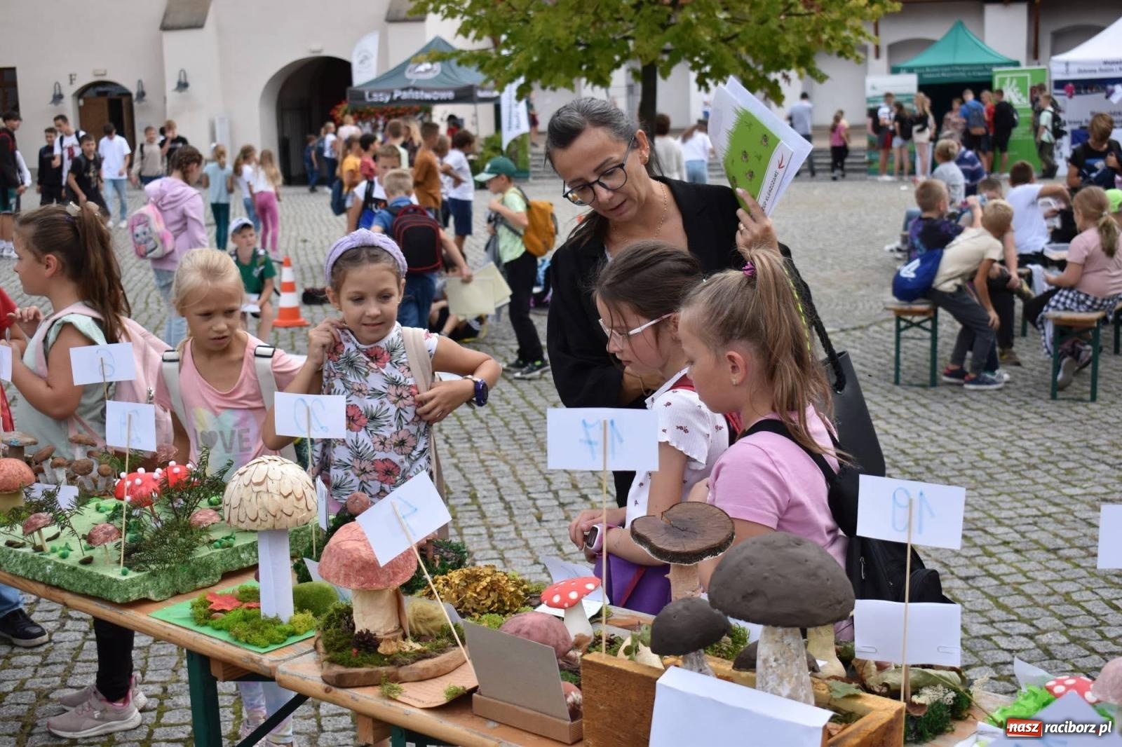 Zdjęcie w galerii na portalu naszraciborz.pl: Bezpieczne Grzybobranie. Nie bądź atrakcyjny dla kleszczy - wystawa na zamku wiadomości z regionu