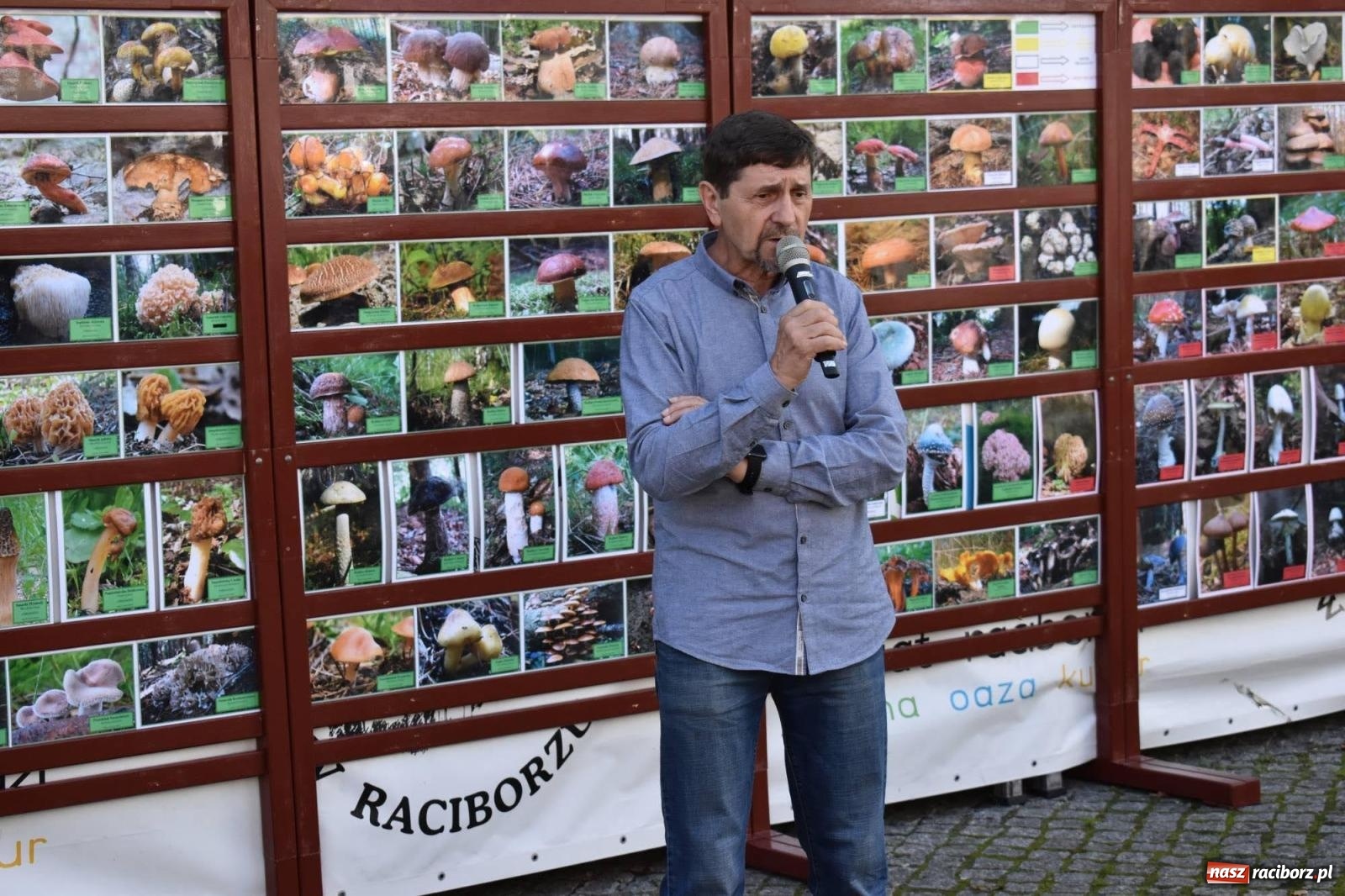 Zdjęcie w galerii na portalu naszraciborz.pl: Bezpieczne Grzybobranie. Nie bądź atrakcyjny dla kleszczy - wystawa na zamku wiadomości z regionu