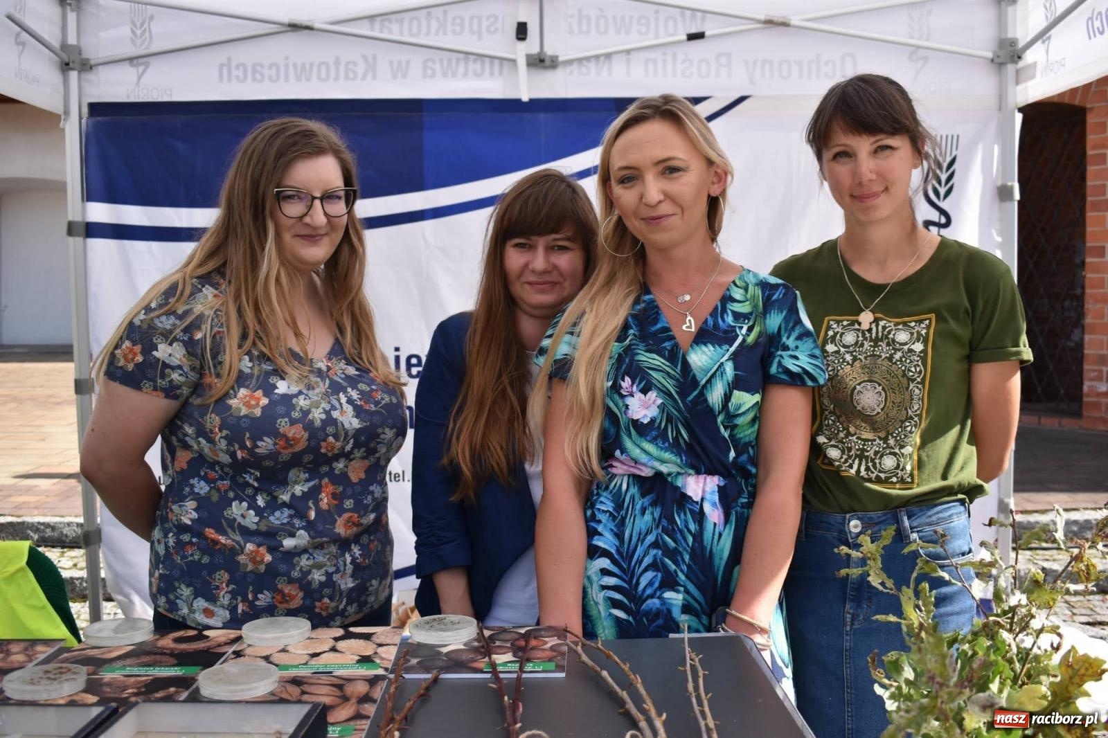 Zdjęcie w galerii na portalu naszraciborz.pl: Bezpieczne Grzybobranie. Nie bądź atrakcyjny dla kleszczy - wystawa na zamku wiadomości z regionu