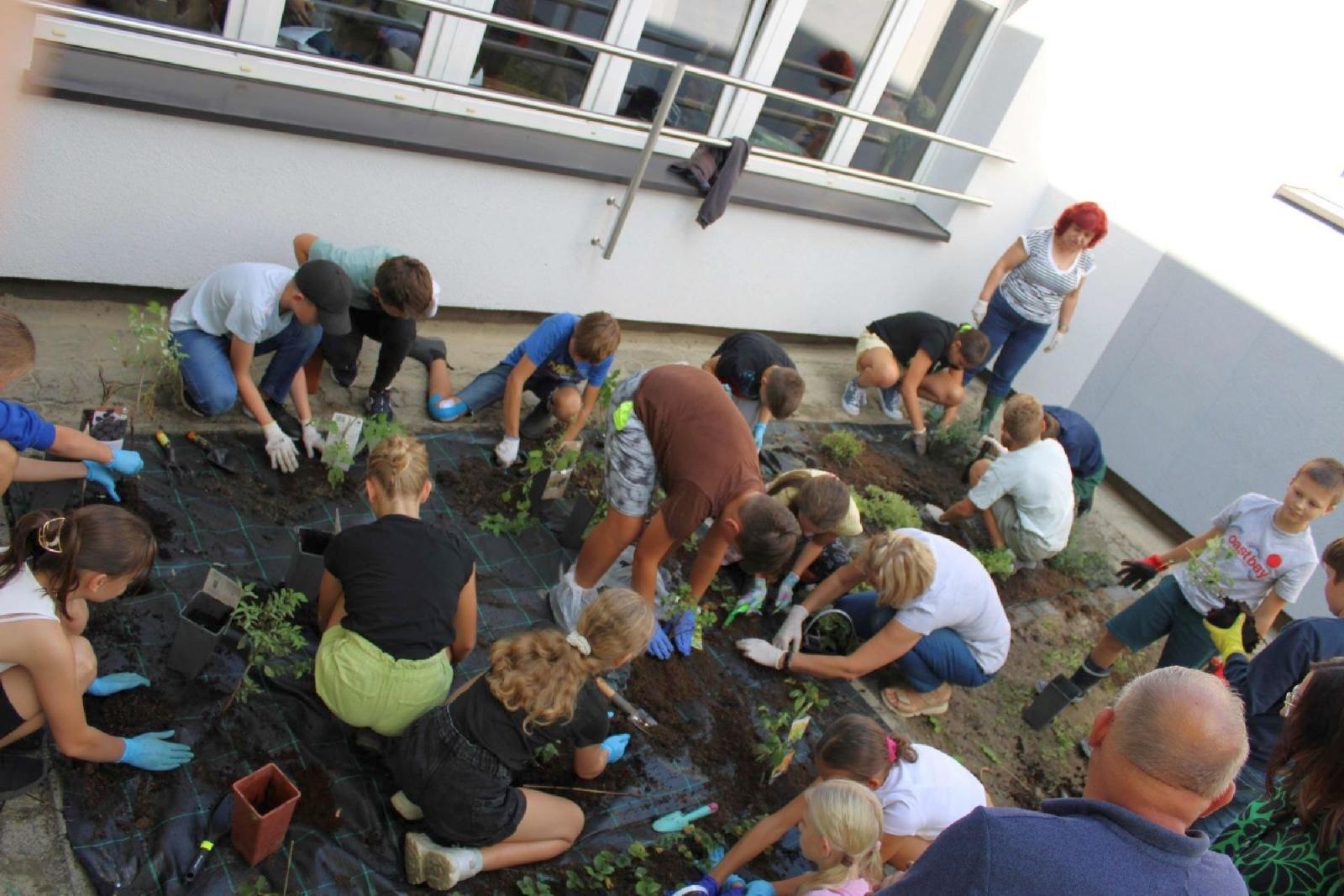 Zdjęcie w galerii na portalu naszraciborz.pl: W zgodzie z naturą. Event ekologiczny w Rudniku wiadomości z regionu