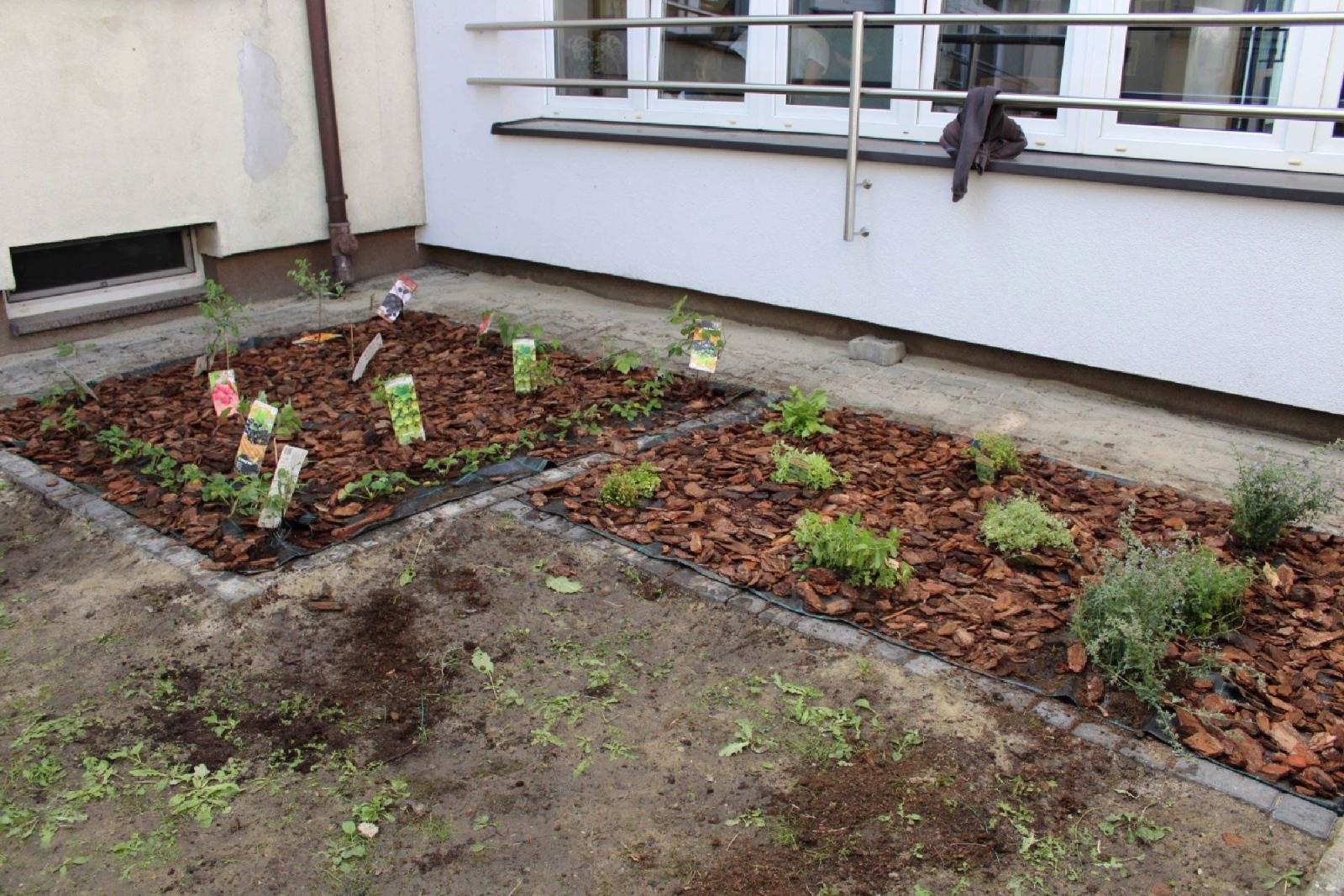 Zdjęcie w galerii na portalu naszraciborz.pl: W zgodzie z naturą. Event ekologiczny w Rudniku wiadomości z regionu