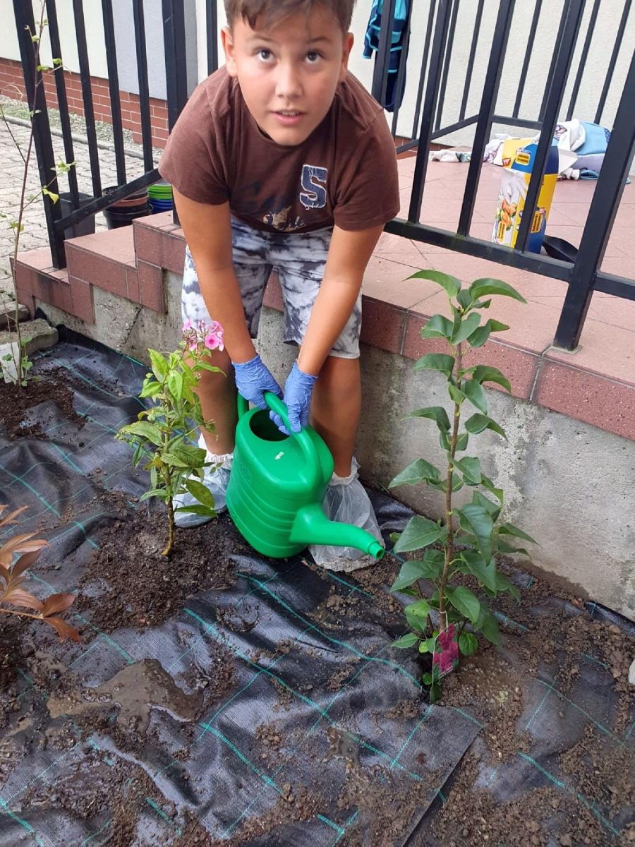 Zdjęcie w galerii na portalu naszraciborz.pl: W zgodzie z naturą. Event ekologiczny w Rudniku wiadomości z regionu