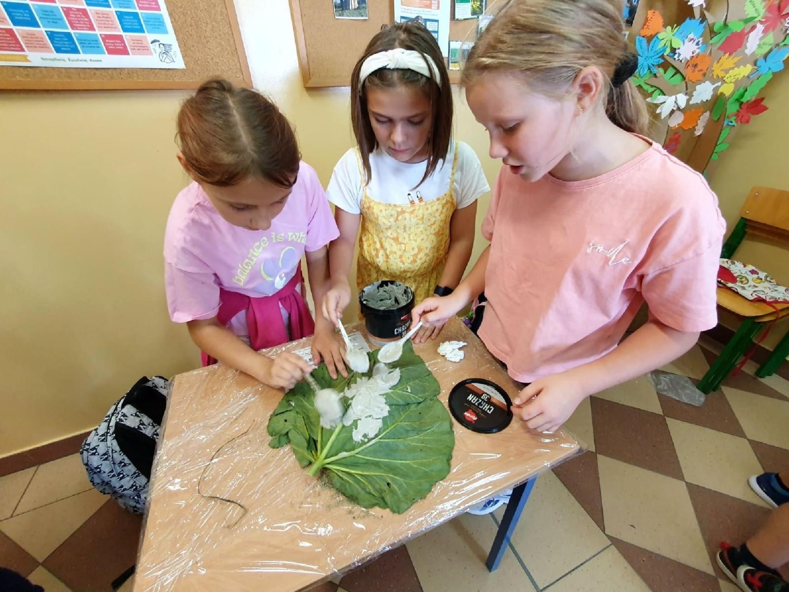 Zdjęcie w galerii na portalu naszraciborz.pl: W zgodzie z naturą. Event ekologiczny w Rudniku wiadomości z regionu