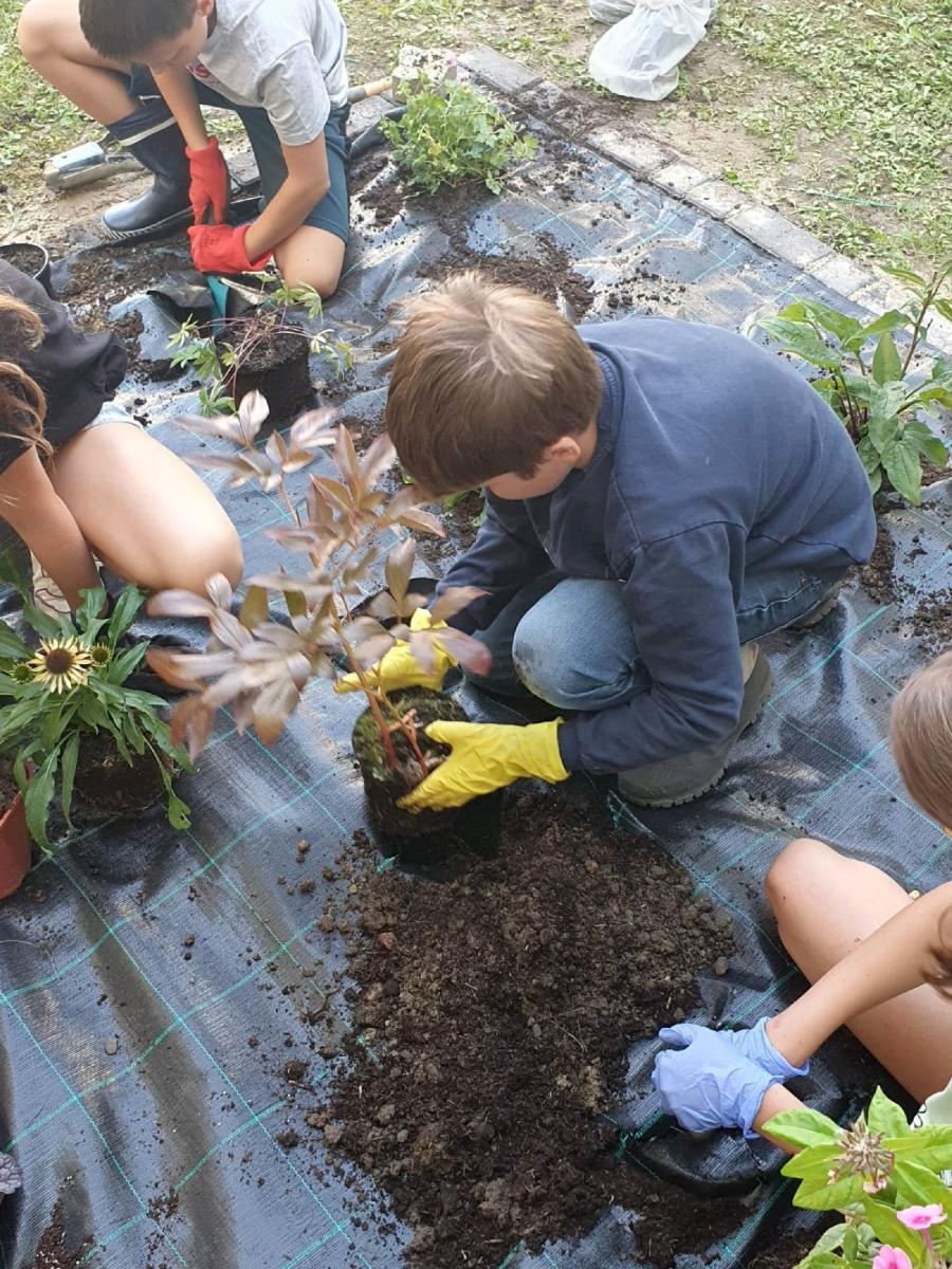 Zdjęcie w galerii na portalu naszraciborz.pl: W zgodzie z naturą. Event ekologiczny w Rudniku wiadomości z regionu