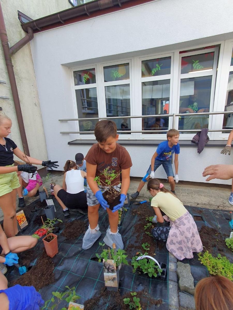 Zdjęcie w galerii na portalu naszraciborz.pl: W zgodzie z naturą. Event ekologiczny w Rudniku wiadomości z regionu