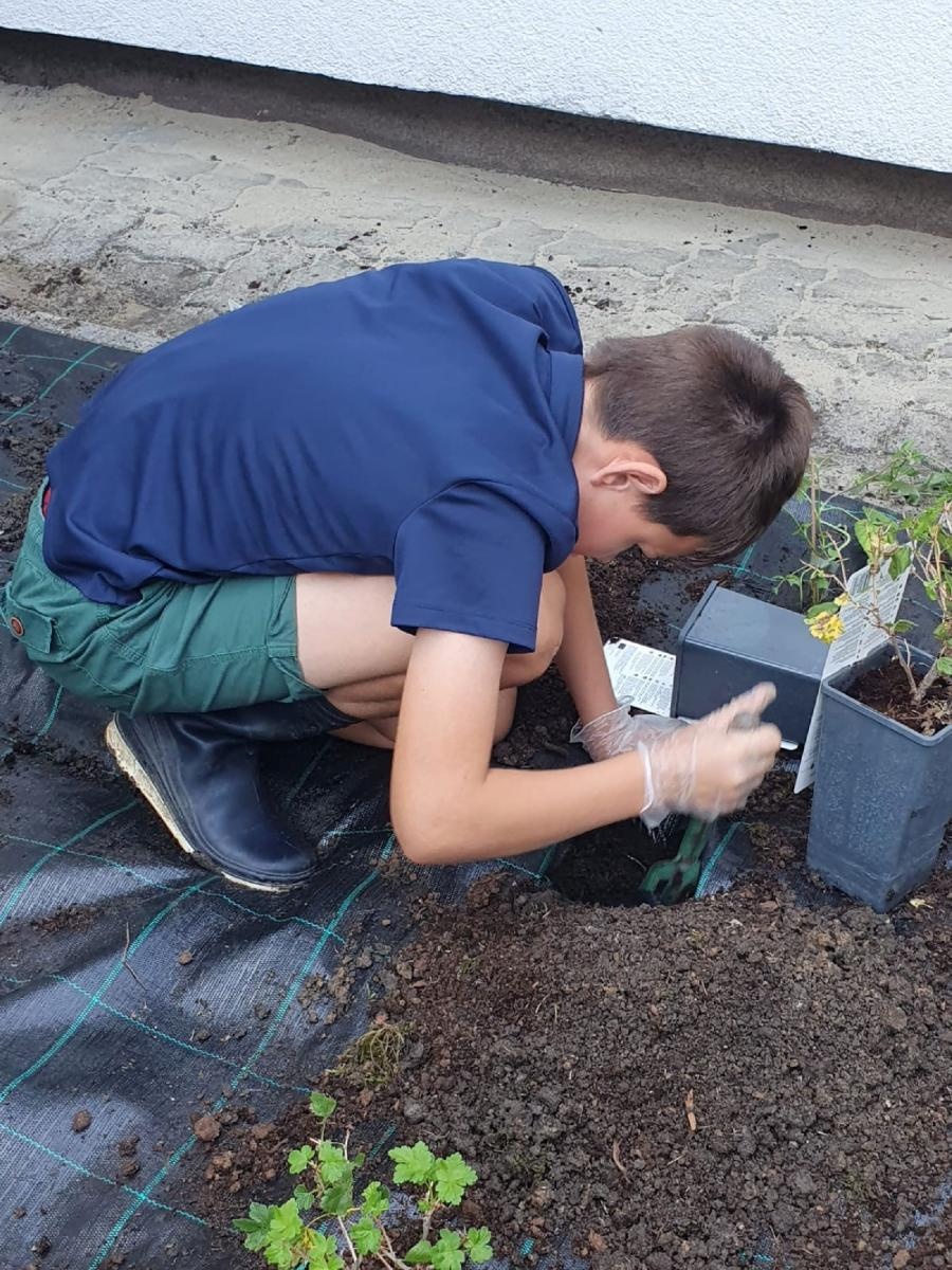 Zdjęcie w galerii na portalu naszraciborz.pl: W zgodzie z naturą. Event ekologiczny w Rudniku wiadomości z regionu