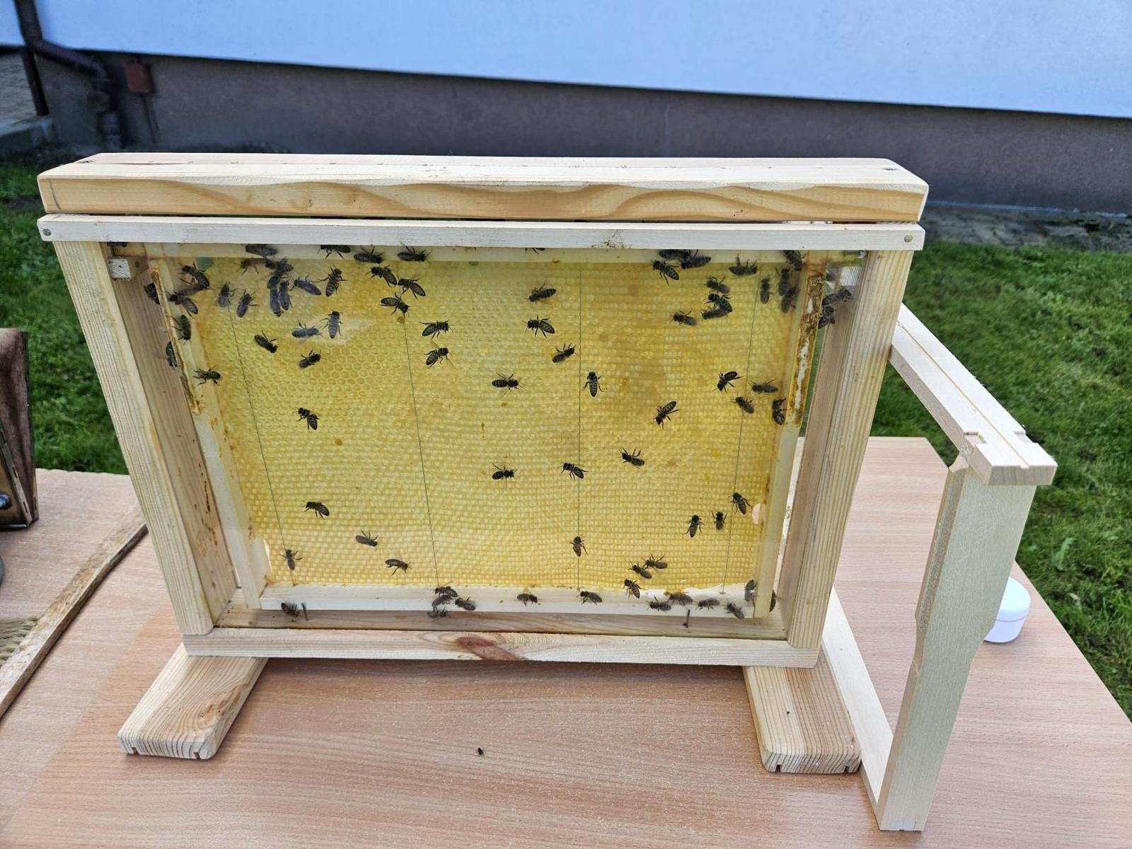 Zdjęcie w galerii na portalu naszraciborz.pl: W zgodzie z naturą. Event ekologiczny w Rudniku wiadomości z regionu