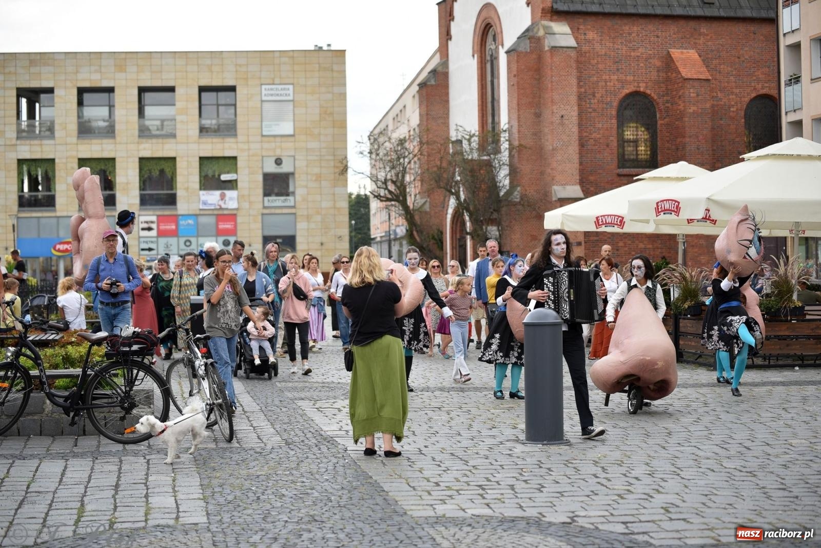 Zdjęcie w galerii na portalu naszraciborz.pl: Zmysły - wędrowny kabaret liryczny A3 Teatr w Raciborzu [FOTO i WIDEO] wiadomości z regionu
