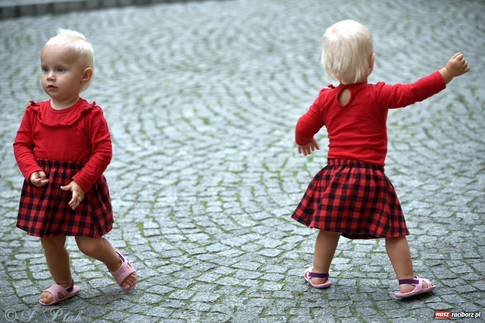 Zdjęcie w galerii na portalu naszraciborz.pl: Zmysły - wędrowny kabaret liryczny A3 Teatr w Raciborzu [FOTO i WIDEO] wiadomości z regionu