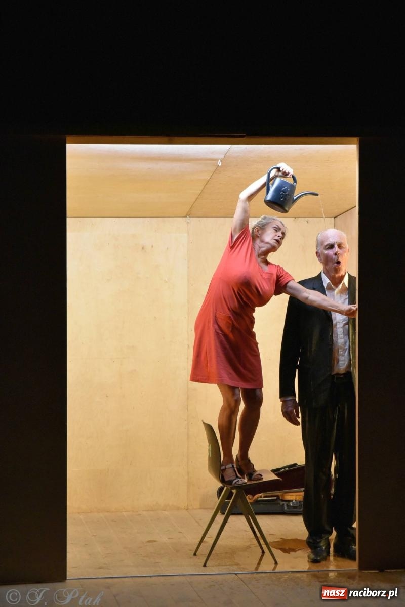 Zdjęcie w galerii na portalu naszraciborz.pl: Metamorphosis transitus na deskach RCK [FOTO i WIDEO] wiadomości z regionu