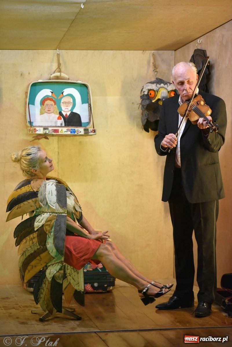 Zdjęcie w galerii na portalu naszraciborz.pl: Metamorphosis transitus na deskach RCK [FOTO i WIDEO] wiadomości z regionu