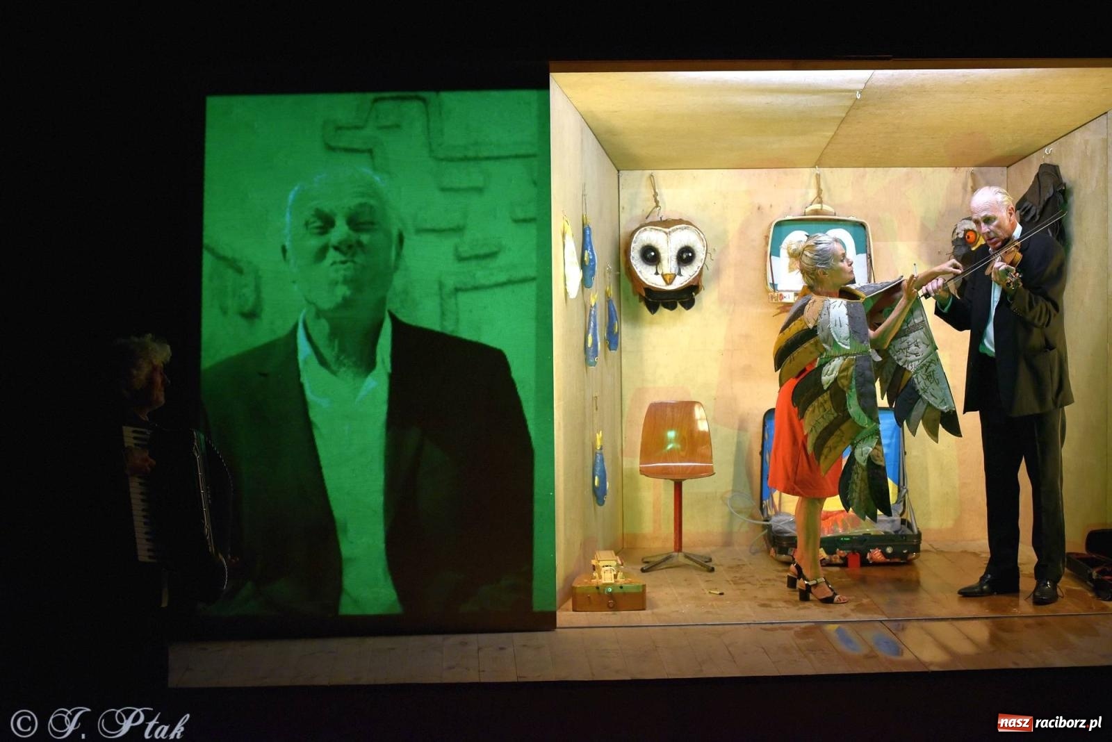 Zdjęcie w galerii na portalu naszraciborz.pl: Metamorphosis transitus na deskach RCK [FOTO i WIDEO] wiadomości z regionu