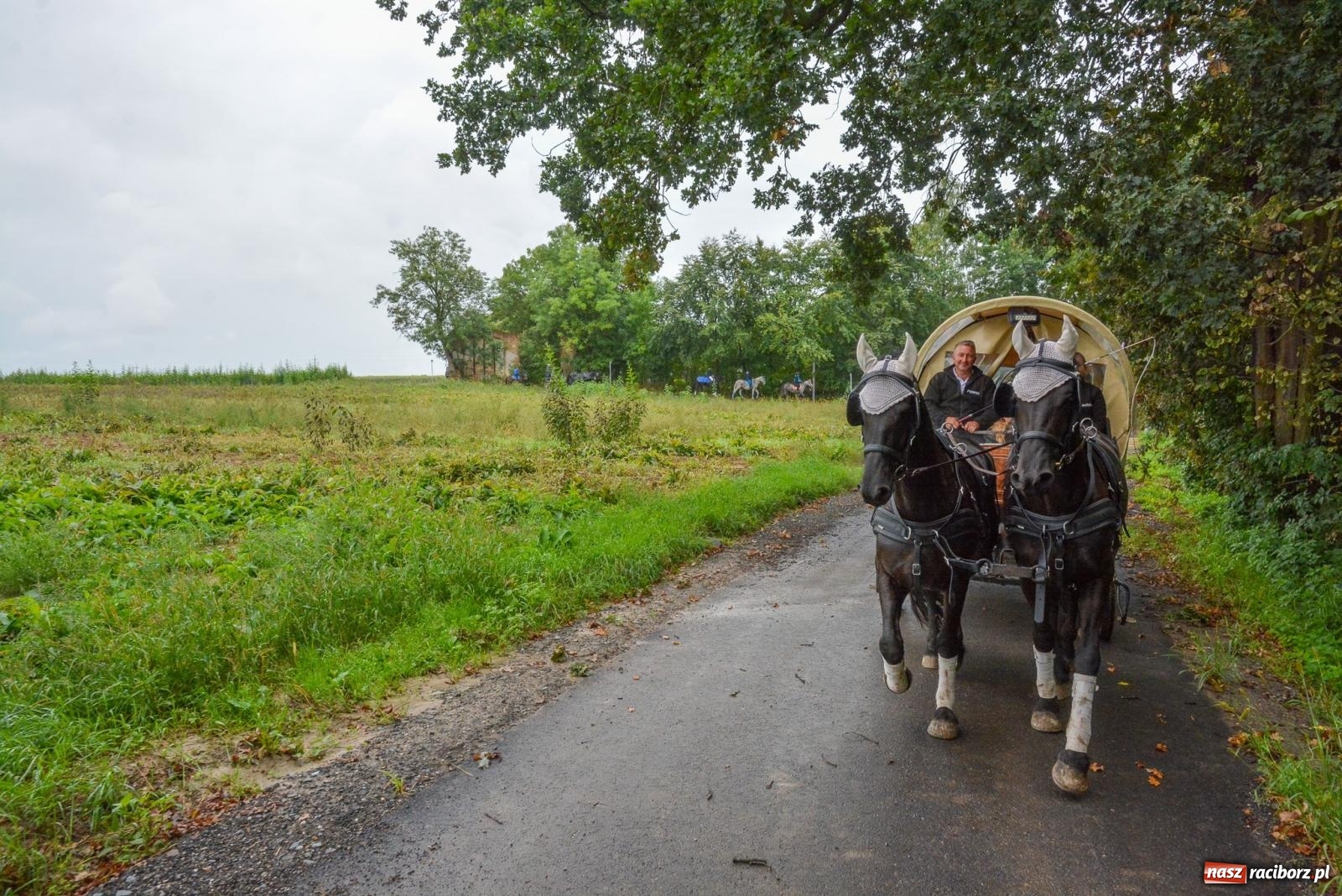 Zdjęcie w galerii na portalu naszraciborz.pl: Deszcz niestraszny miłośnikom koni. Hubertus w Żerdzinach [FOTO i WIDEO] wiadomości z regionu
