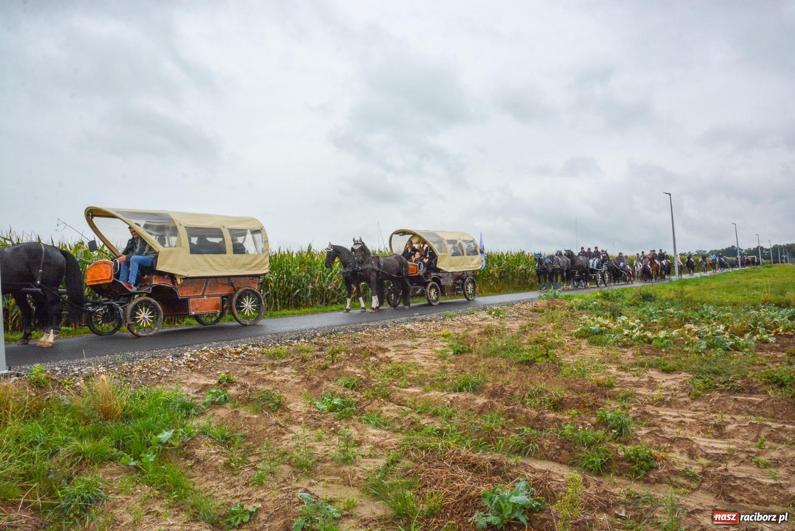 Zdjęcie w galerii na portalu naszraciborz.pl: Deszcz niestraszny miłośnikom koni. Hubertus w Żerdzinach [FOTO i WIDEO] wiadomości z regionu