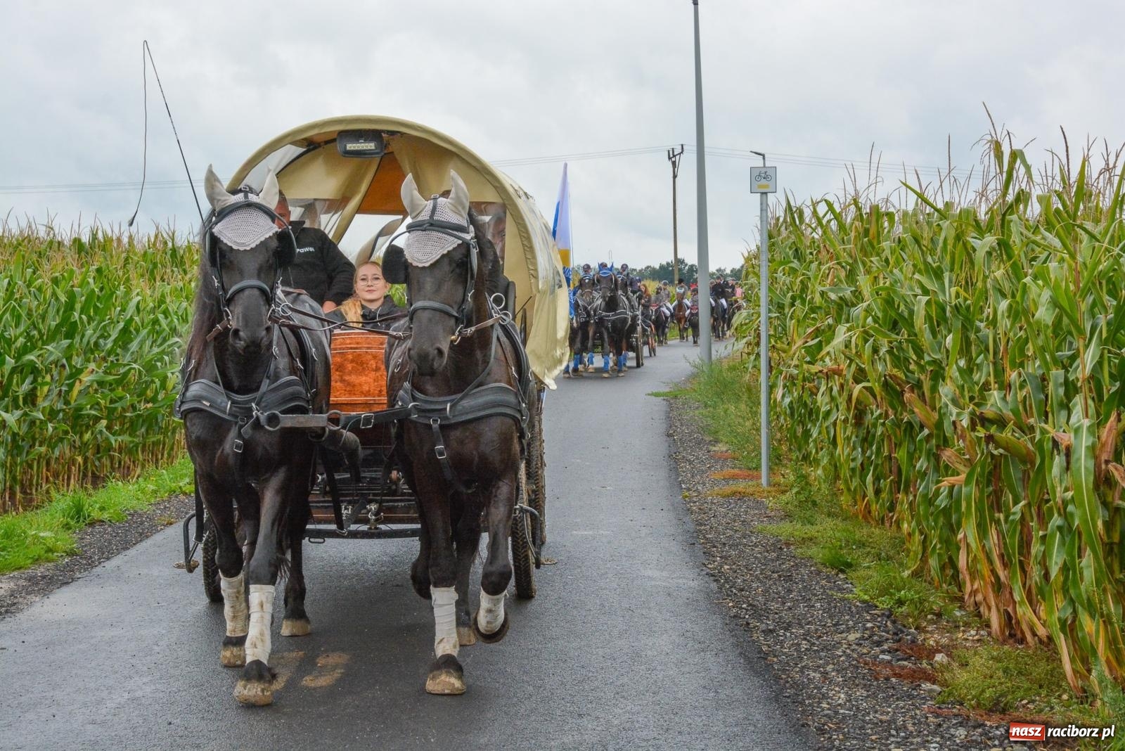 Zdjęcie w galerii na portalu naszraciborz.pl: Deszcz niestraszny miłośnikom koni. Hubertus w Żerdzinach [FOTO i WIDEO] wiadomości z regionu