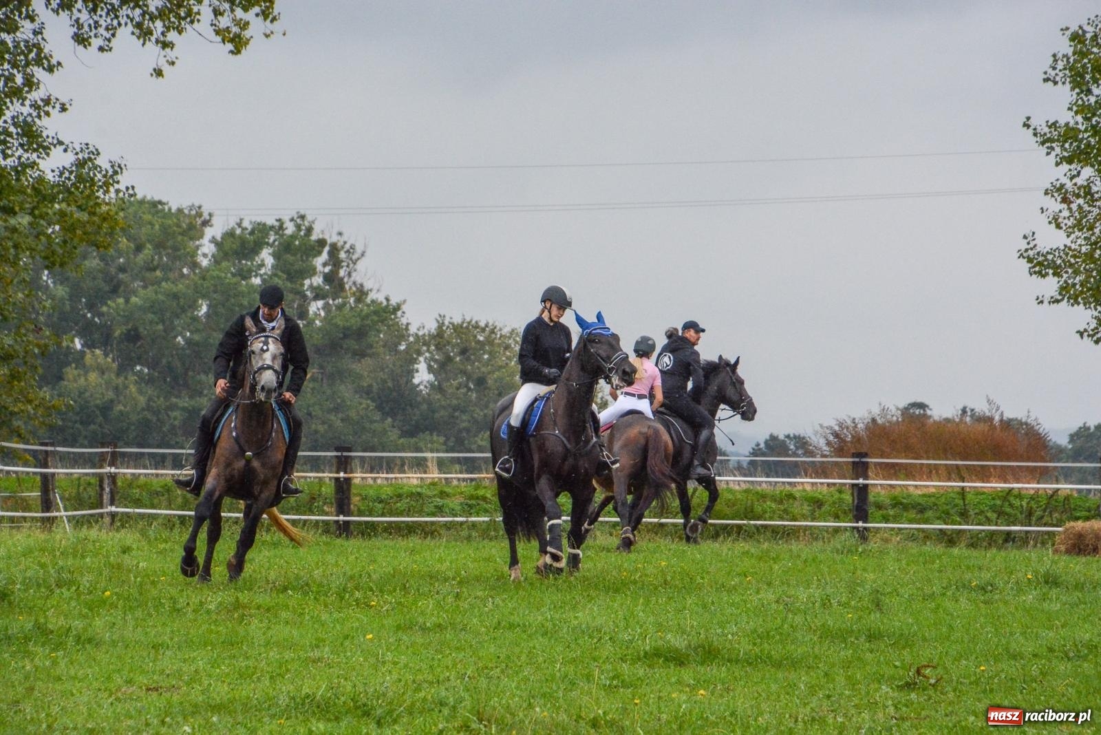 Zdjęcie w galerii na portalu naszraciborz.pl: Deszcz niestraszny miłośnikom koni. Hubertus w Żerdzinach [FOTO i WIDEO] wiadomości z regionu