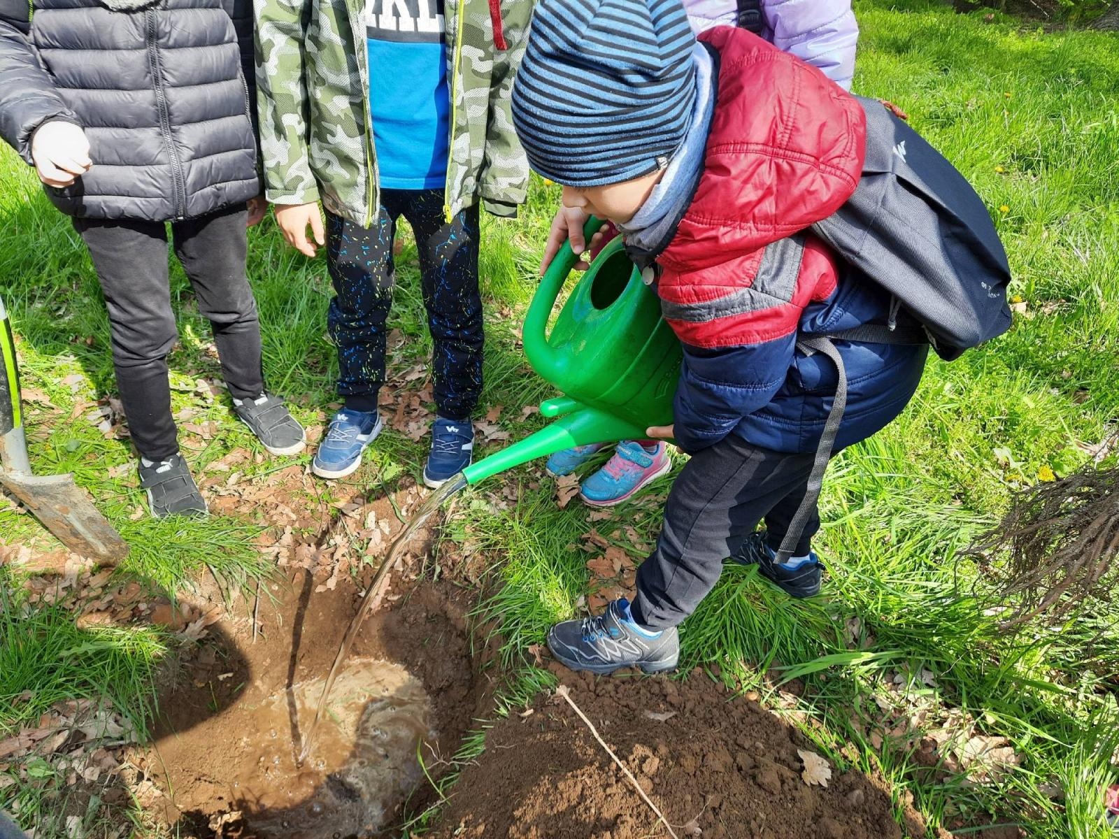 Zdjęcie w galerii na portalu naszraciborz.pl: Mali sadownicy z Brzezia na podium wiadomości z regionu