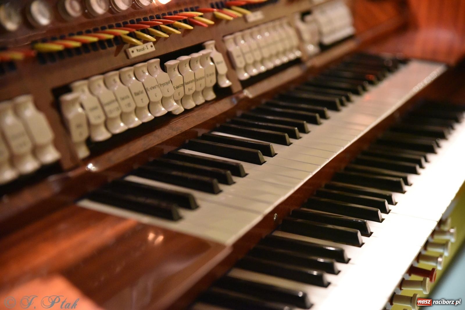 Zdjęcie w galerii na portalu naszraciborz.pl: XXXVI Dni Muzyki Organowej i Kameralnej im. Henryka Klai. Koncert absolwentów [FOTO i WIDEO] wiadomości z regionu