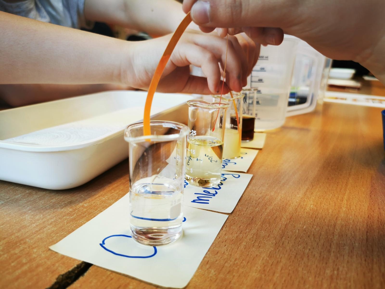 Zdjęcie w galerii na portalu naszraciborz.pl: Sukces programu edukacyjnego Henkla wiadomości z regionu