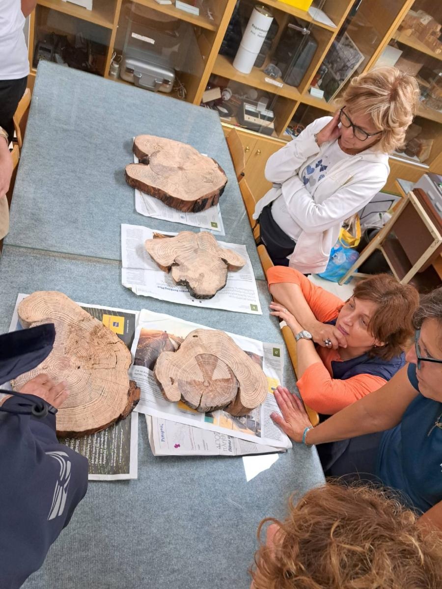 Zdjęcie w galerii na portalu naszraciborz.pl: Erasmus+. Z Markowic do Grecji wiadomości z regionu