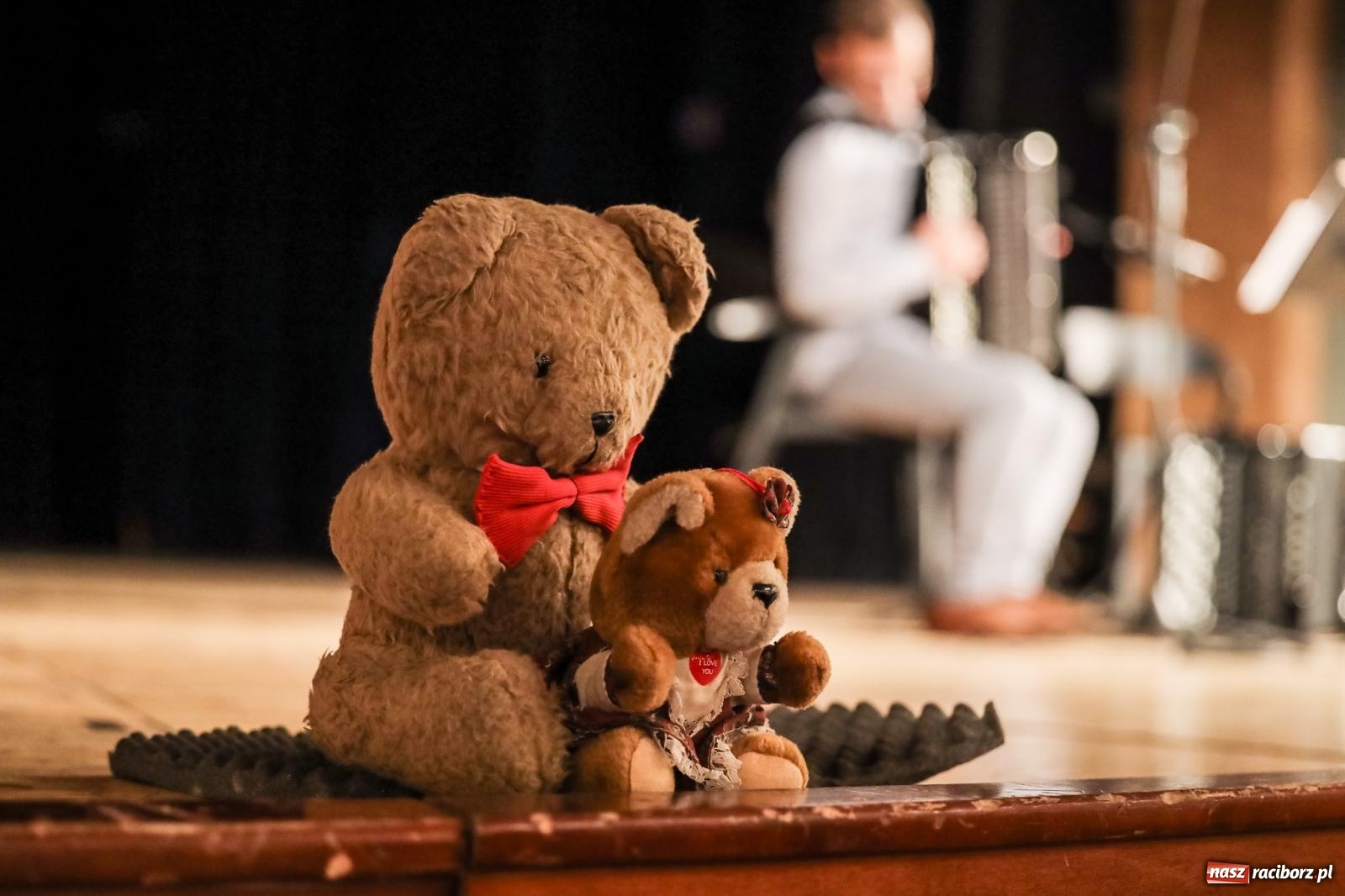 Zdjęcie w galerii na portalu naszraciborz.pl: Pierwsze koncerty umuzykalniające w tym roku szkolnym: akordeon wiadomości z regionu