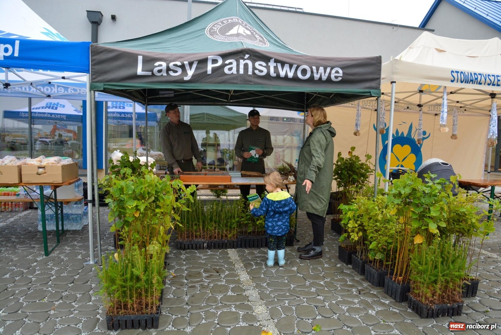 Zdjęcie w galerii na portalu naszraciborz.pl: Kornicki Eko Cross przez Las [FOTO i WIDEO] wiadomości z regionu