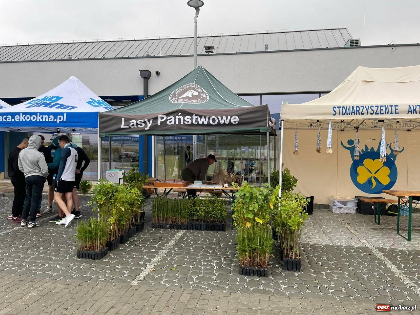 Zdjęcie w galerii na portalu naszraciborz.pl: Kornicki Eko Cross przez Las [FOTO i WIDEO] wiadomości z regionu