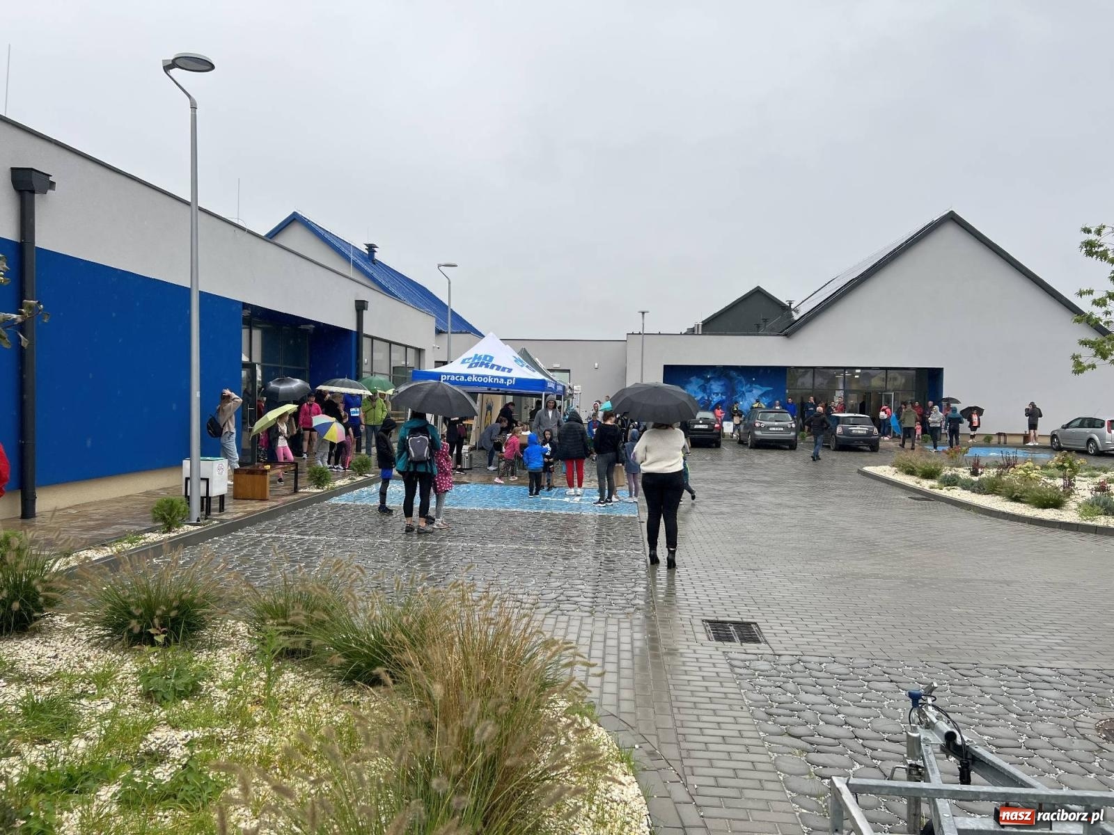 Zdjęcie w galerii na portalu naszraciborz.pl: Kornicki Eko Cross przez Las [FOTO i WIDEO] wiadomości z regionu