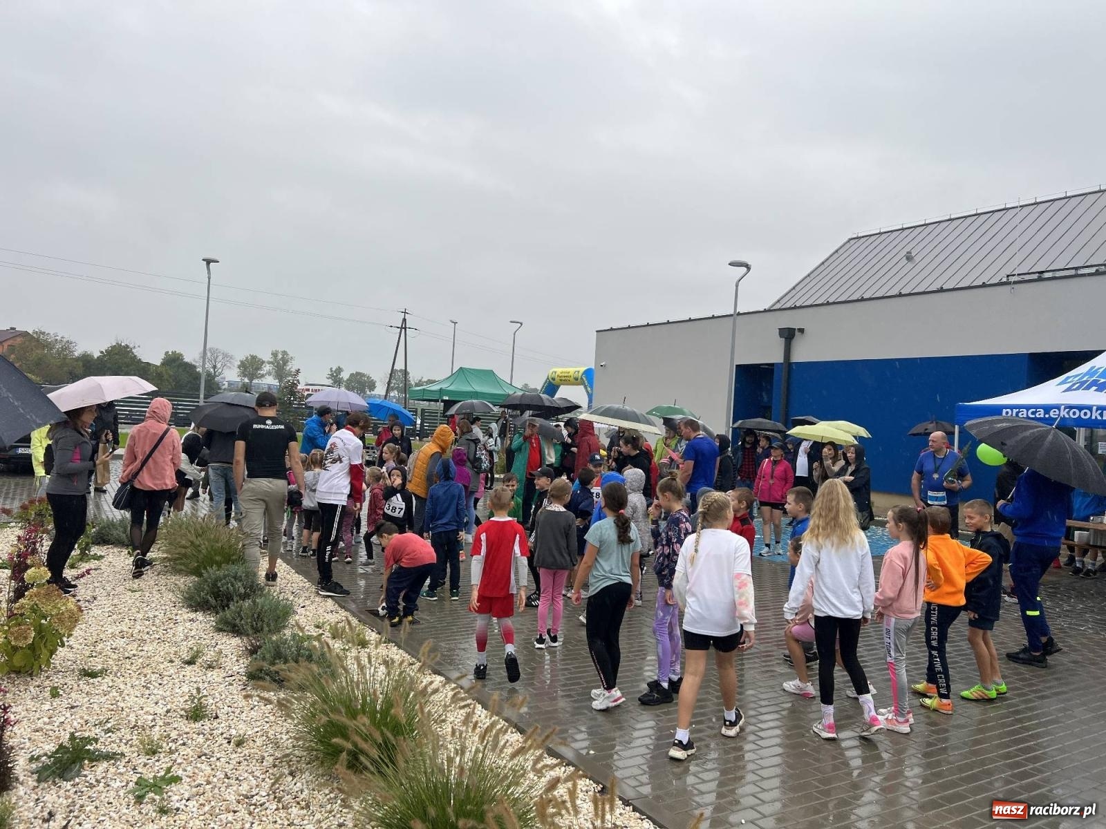 Zdjęcie w galerii na portalu naszraciborz.pl: Kornicki Eko Cross przez Las [FOTO i WIDEO] wiadomości z regionu