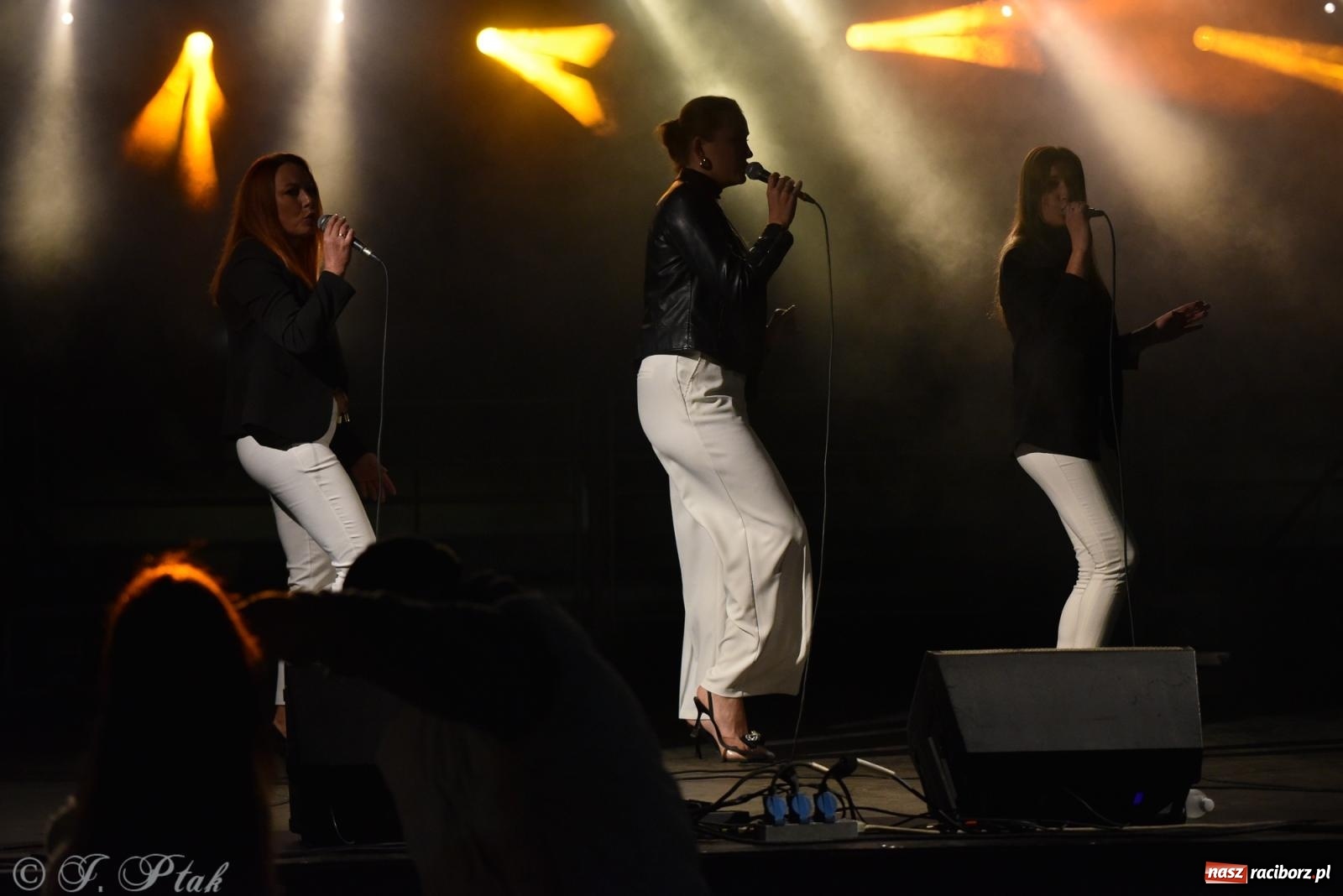 Zdjęcie w galerii na portalu naszraciborz.pl: Finał lata i zbiórka dla Tomka. Pomoc musi trwać [FOTO i WIDEO] wiadomości z regionu