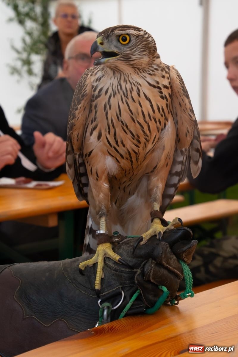 Zdjęcie w galerii na portalu naszraciborz.pl: Darz bór! Śląska brać myśliwska zjechała do Tworkowa [FOTO i WIDEO] wiadomości z regionu