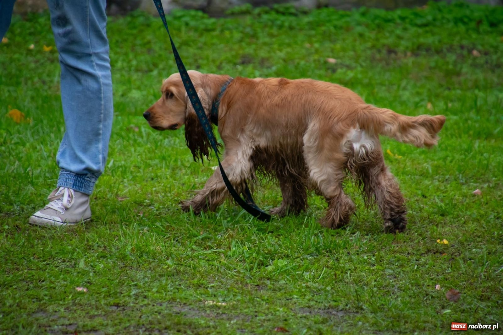 Zdjęcie w galerii na portalu naszraciborz.pl: Darz bór! Śląska brać myśliwska zjechała do Tworkowa [FOTO i WIDEO] wiadomości z regionu