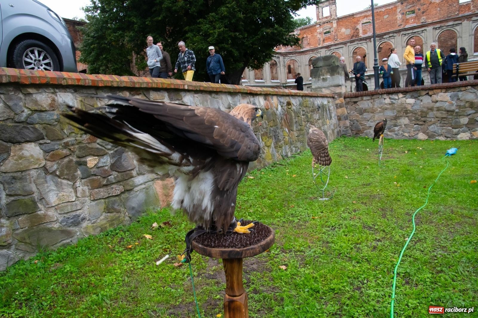 Zdjęcie w galerii na portalu naszraciborz.pl: Darz bór! Śląska brać myśliwska zjechała do Tworkowa [FOTO i WIDEO] wiadomości z regionu