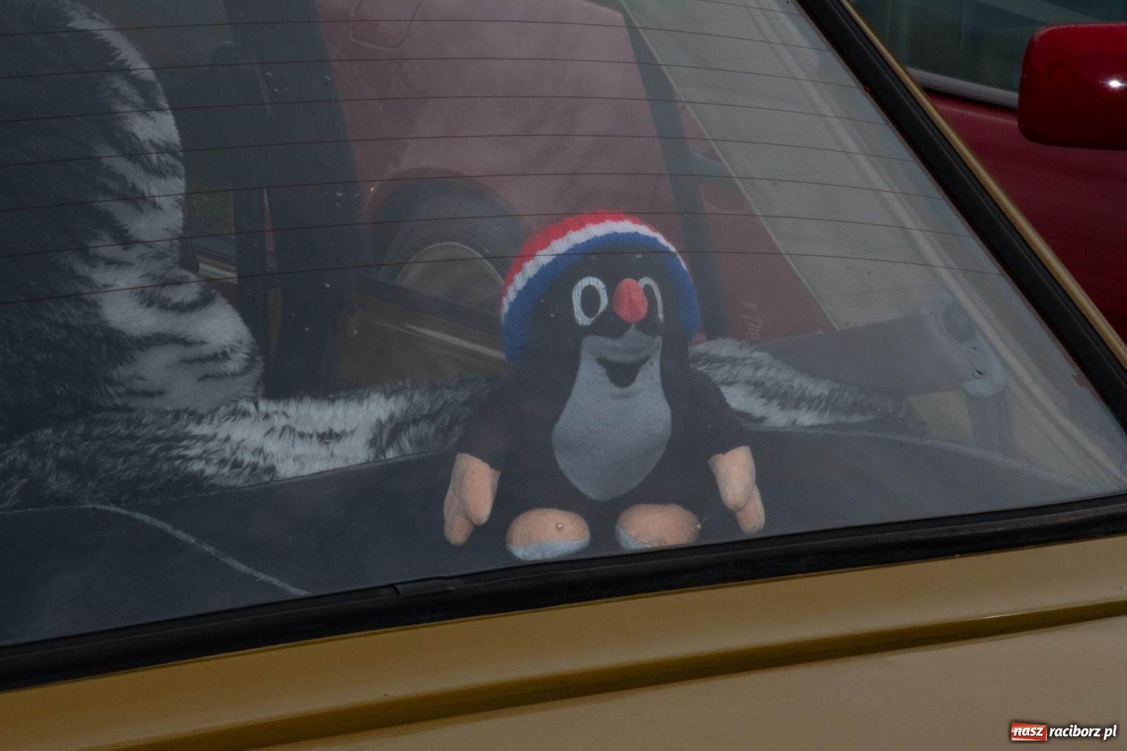 Zdjęcie w galerii na portalu naszraciborz.pl: Dziadek Teodor ozdobą zlotu oldtimerów w Zabełkowie [FOTO i WIDEO] wiadomości z regionu