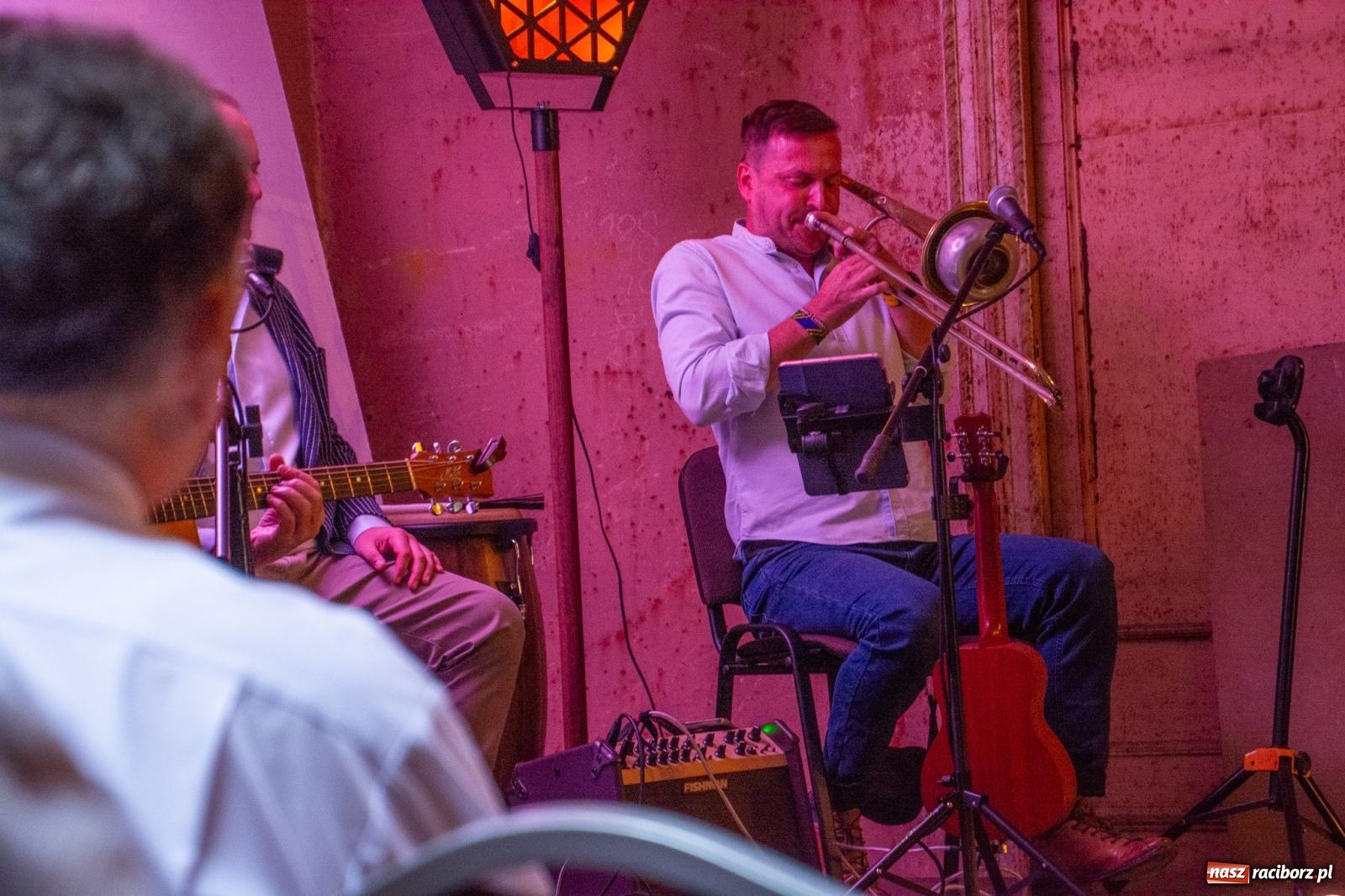 Zdjęcie w galerii na portalu naszraciborz.pl: Krowiarki: słoneczne dźwięki w starym pałacu [FOTO i WIDEO] wiadomości z regionu