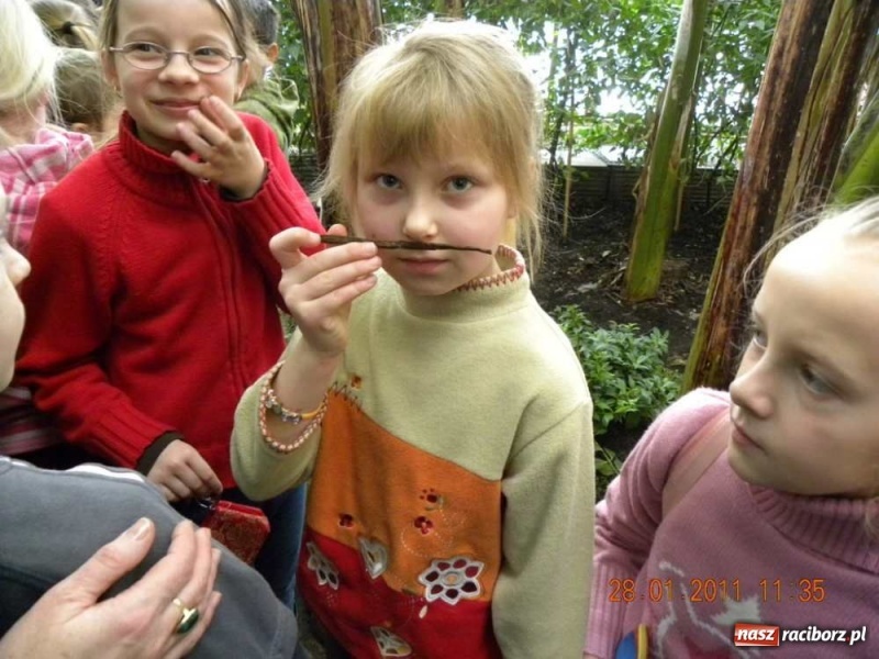 Zdjęcie w galerii na portalu naszraciborz.pl: Na koniec żywa lekcja biologii wiadomości z regionu